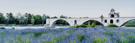 Avignon