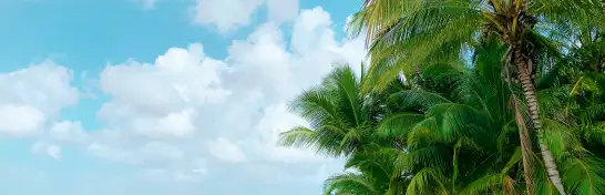 Cozumel