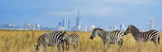 Nairobi