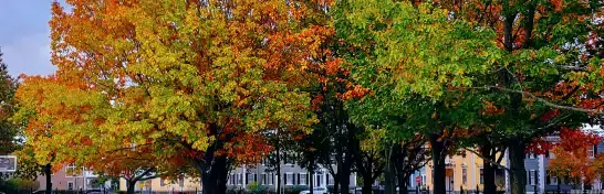 Salem