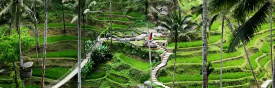 Ubud